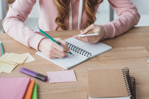 Research Paper Outline Student S Guide Edubirdie Com