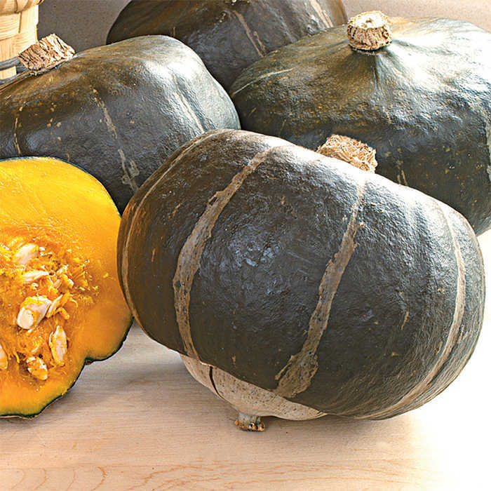 wallpapers Bonbon Squash Seeds bonbon hybrid winter squash
