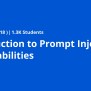 Introduction To Prompt Injection Vulnerabilities | Coursera
