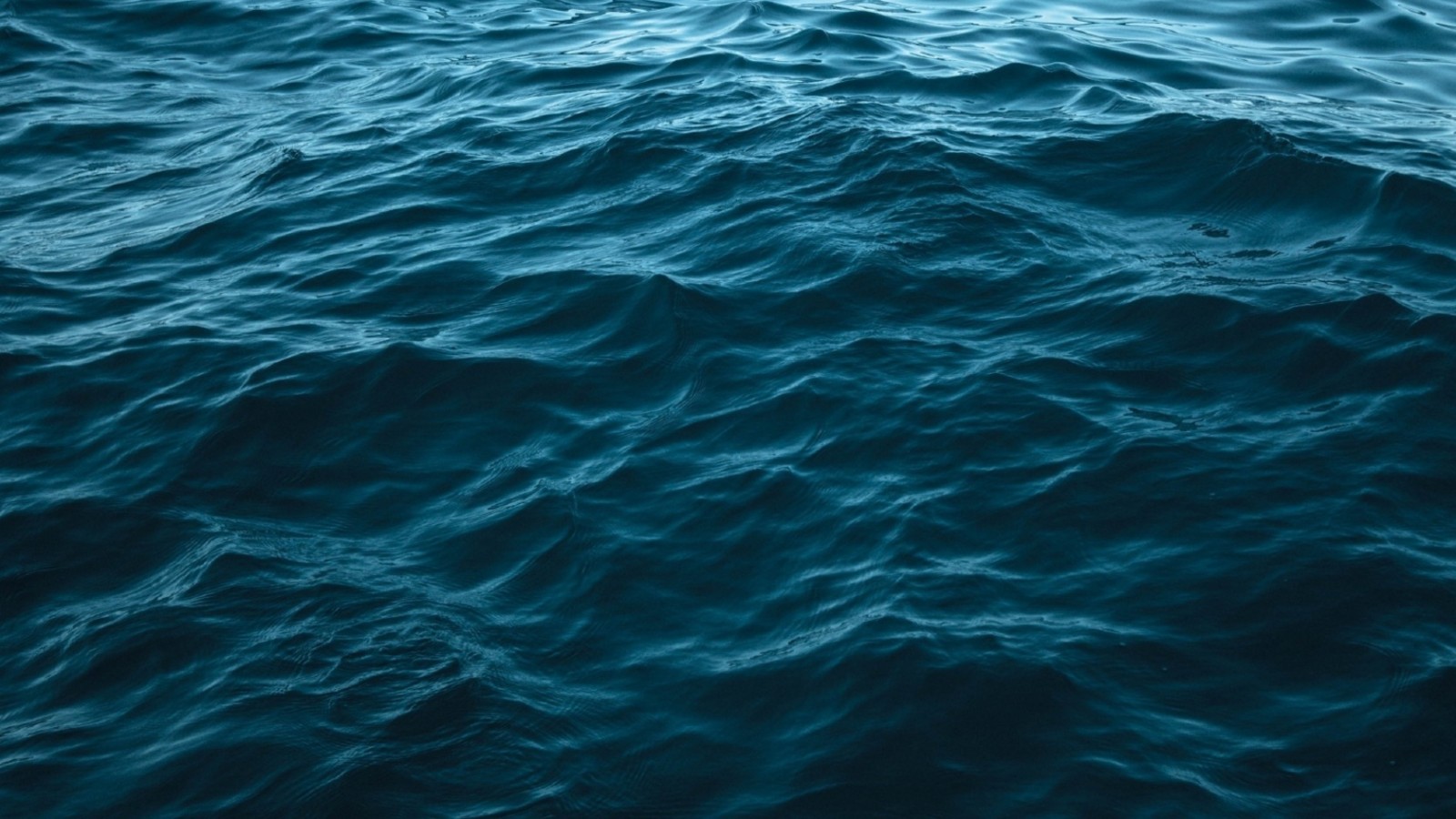 Celebrate your favorite team everywhere you go with this 16oz stainless steel nhl . Seattle Kraken Powered By Givesmart