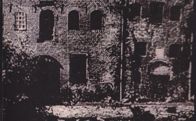 Hugh Cornwell & Robert Williams – Nosferatu Samples | Genius