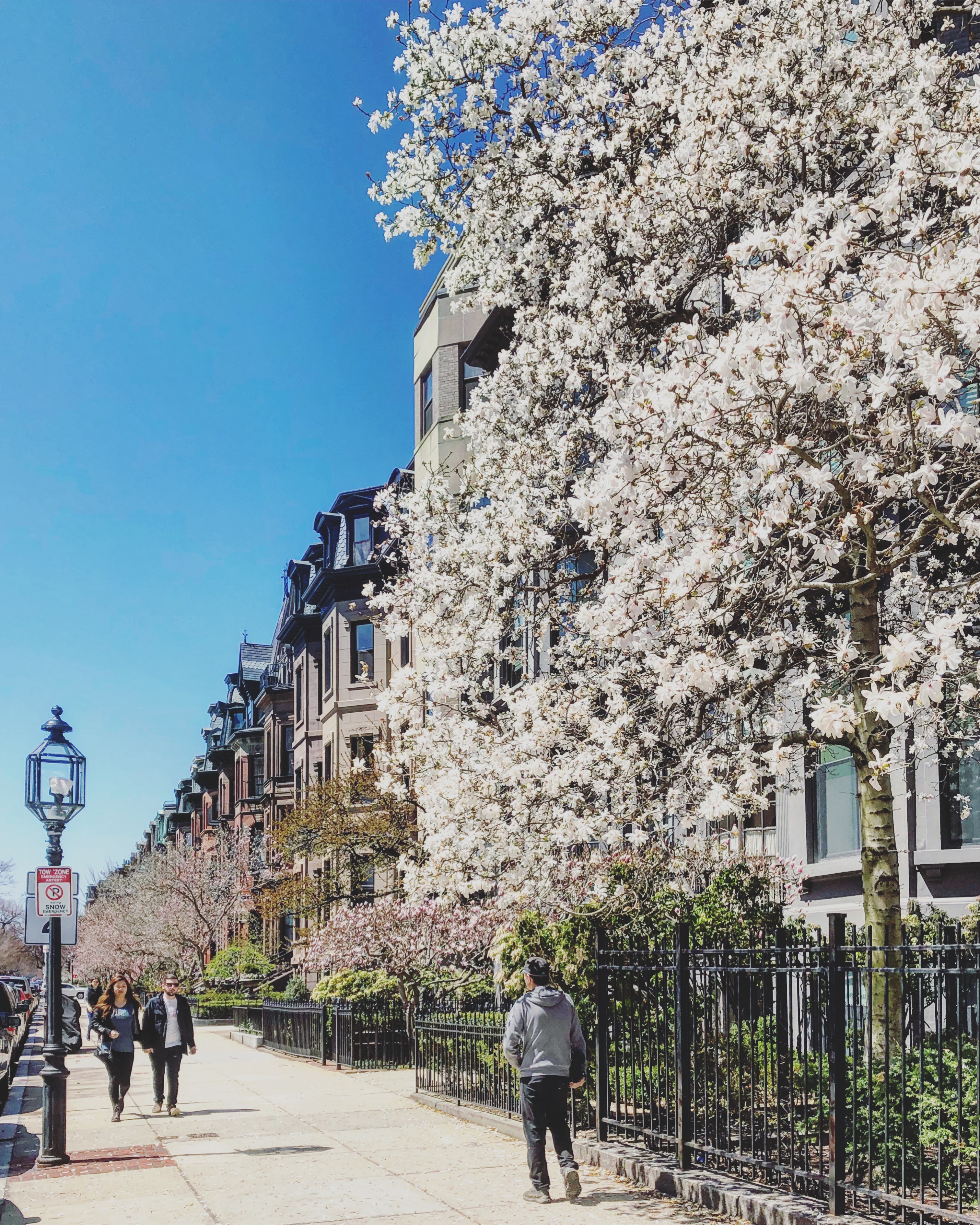 Of course, you want your money as soon as possible. Boston Residential Tax Exemption Explained Broad Street Boutique