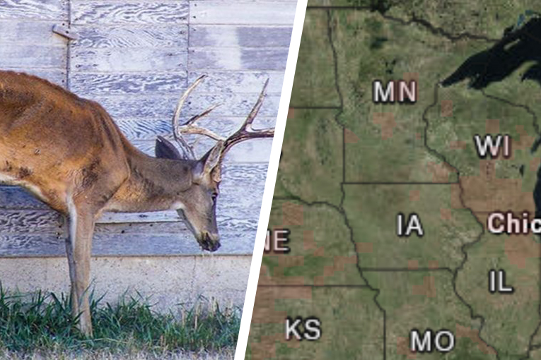 Chronic Wasting Mapped OnX CWD Map Layer GearJunkie CWD Map And Deer 