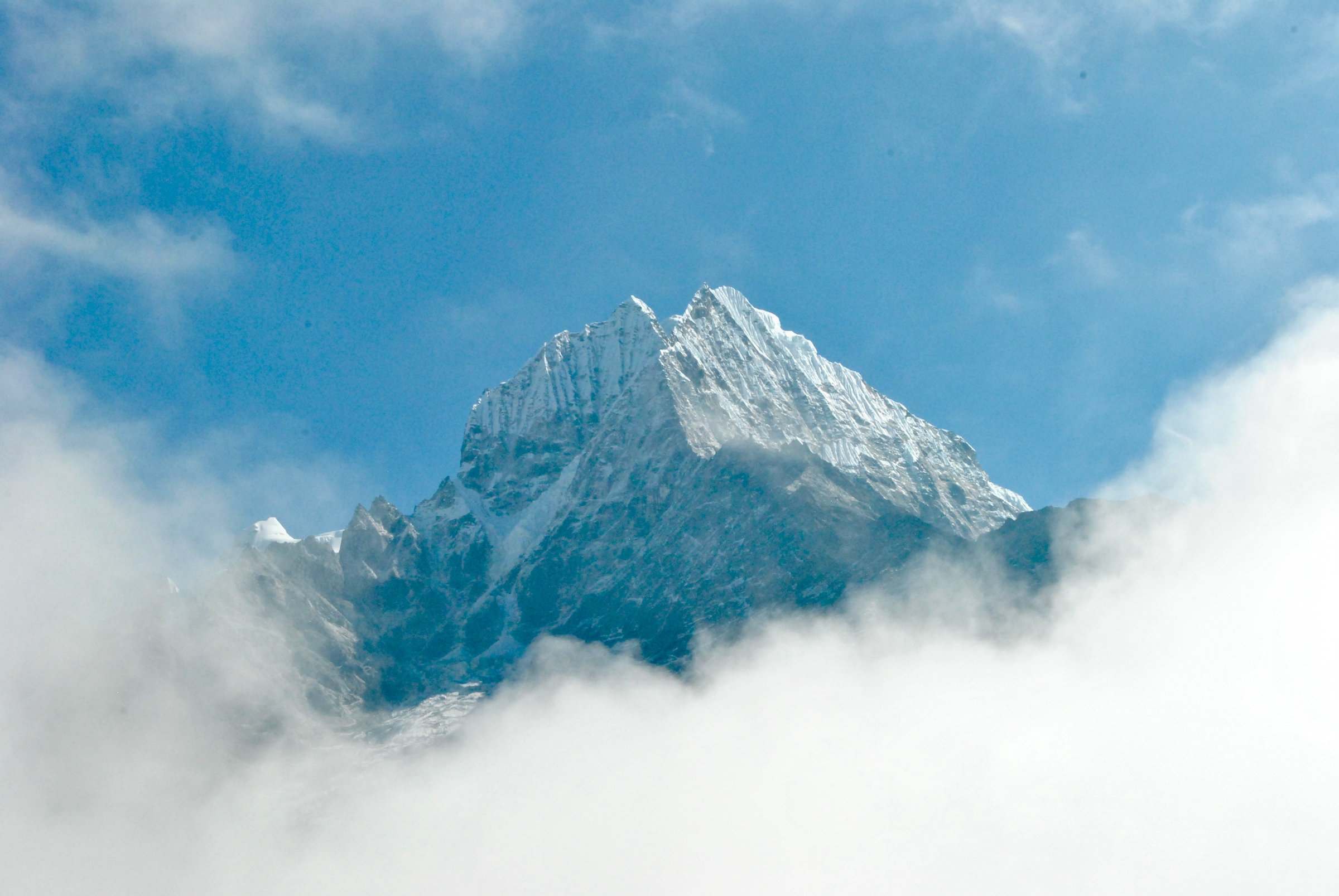 COVID on Everest, Fatal CO Bear Attack: Adventure News of the Week