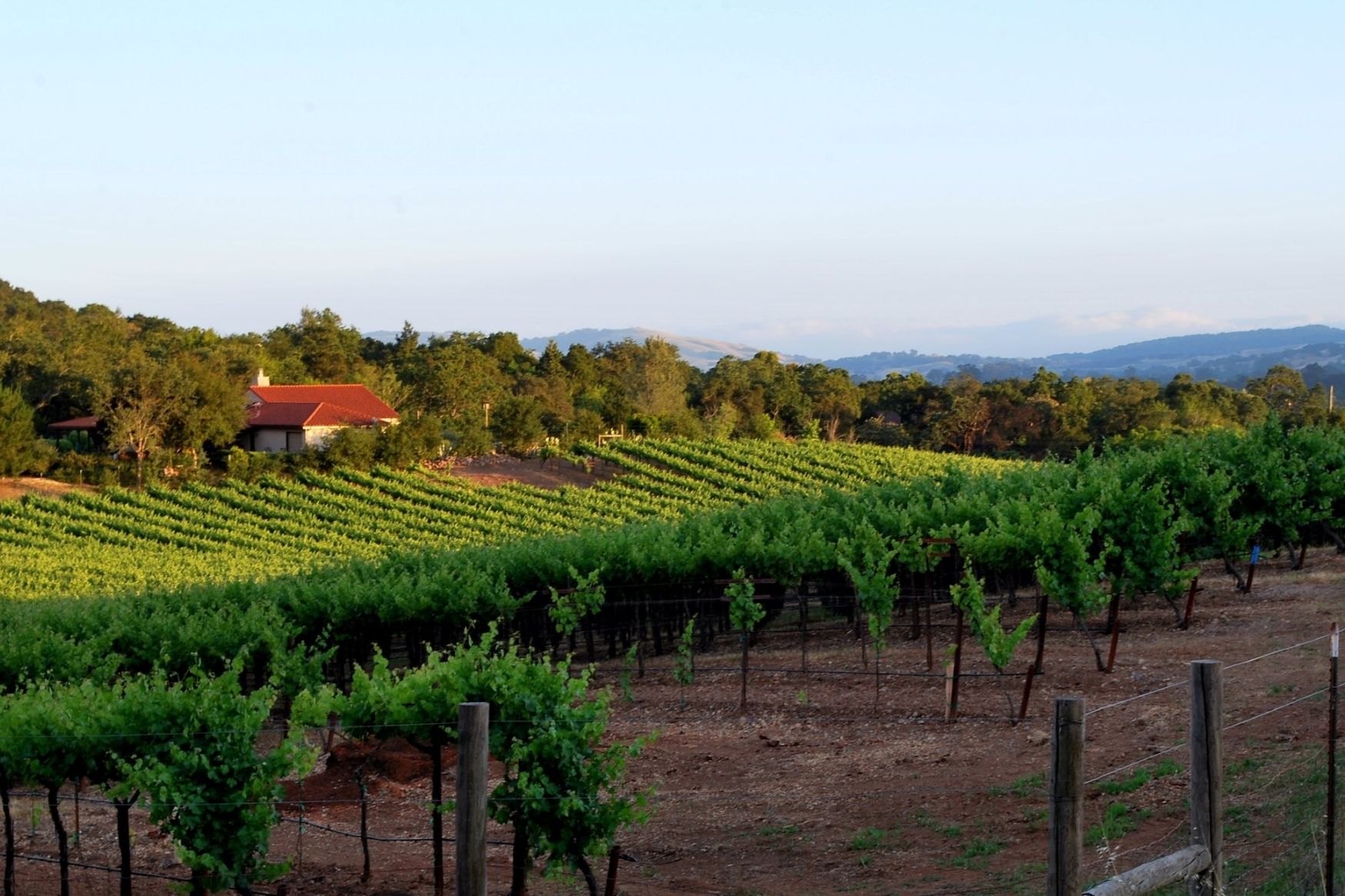 Meet the Thru-Hike That Explores California Wine Country