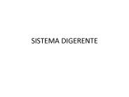 Ppt El Sistema Linfatico Powerpoint Presentation Free To Download