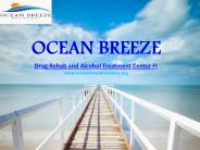 Ppt Alcohol Rehab Treatment Center Powerpoint Presentation Free To