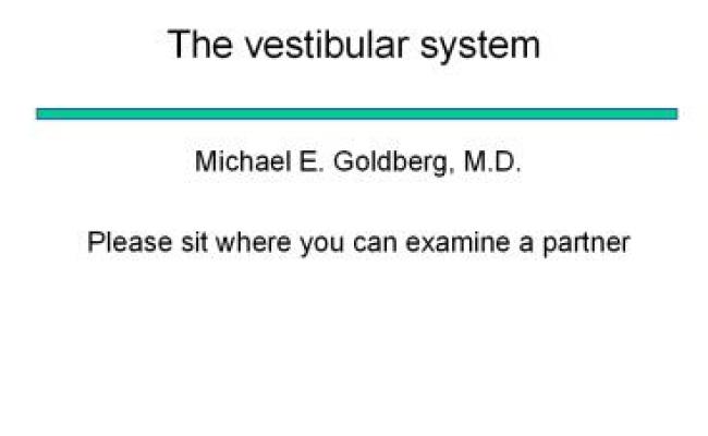 The Vestibular System Presentation | Free To Download