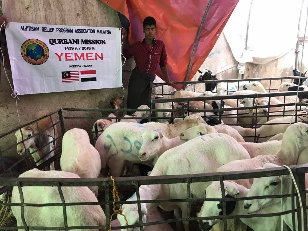 A Ritual That Transcends Time The Qurbani Story The Muslim Vibe 