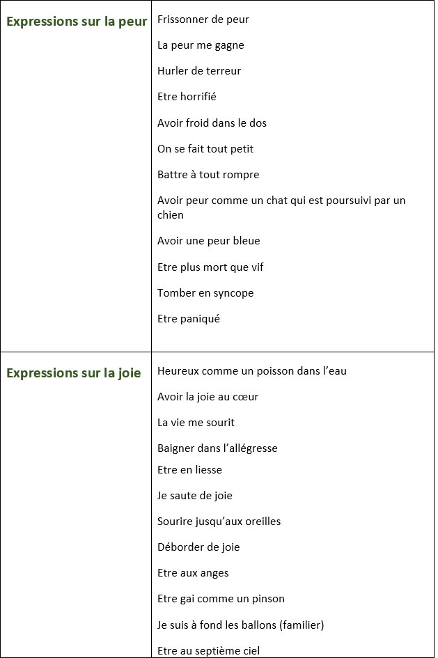 Certaines citations sur la mort peuvent nous aider à exprimer et partager avec les autres ce que l'on ressent au fond de nous après le décès d'un proche. Liste D Expressions Pour Exprimer La Joie La Peur La Tristesse Et L Ennui Learn French Vocabulary Communication Francais French