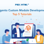 Magento Custom Module Development: Top 5 Tutorials - GetDevDone Blog