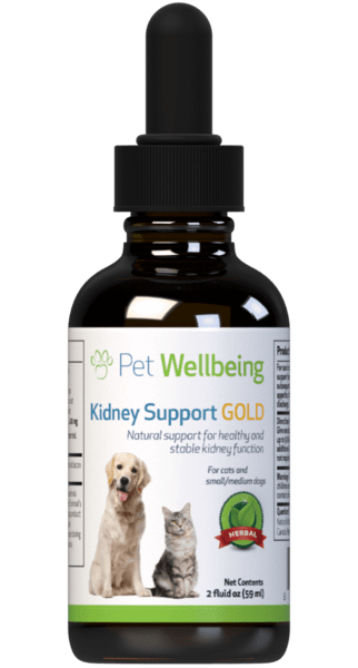 Kidney Support Gold Maintains Healthy Kidney Function In Dogs