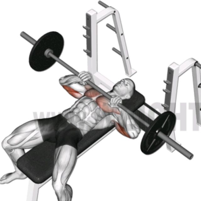 Obklopiť plameň dav bench press ez curl bar benígne infect tuk
