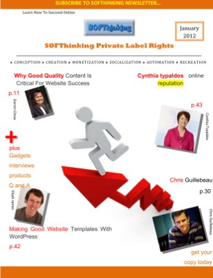 SOFThinking Newsletter