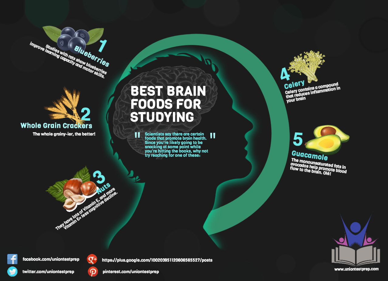Best Brain Foods For Studying