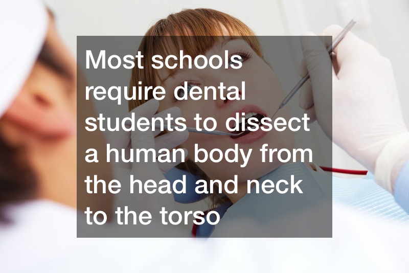 What aspiring dentists need to know about dental school