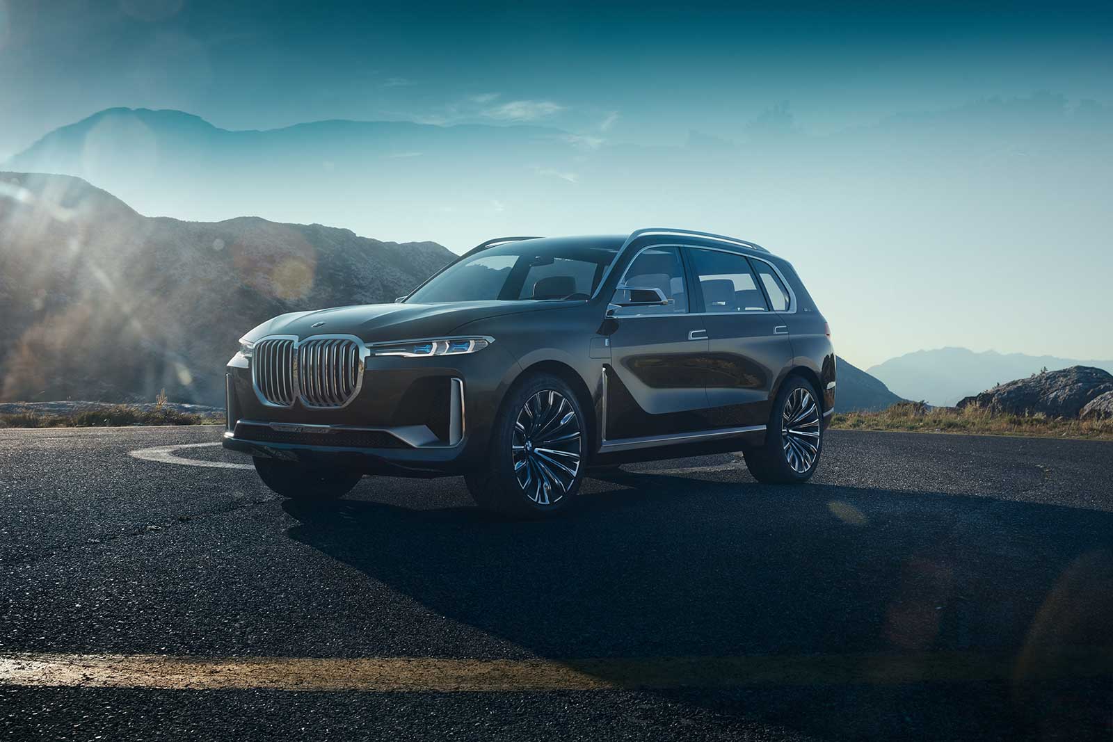 The bmw kidney grille