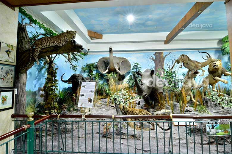 Medan Wisata Seru Menambah Edukasi Promo Spesial Untuk Tiket Masuk Di Rahmat International Wildlife Museum Gallery