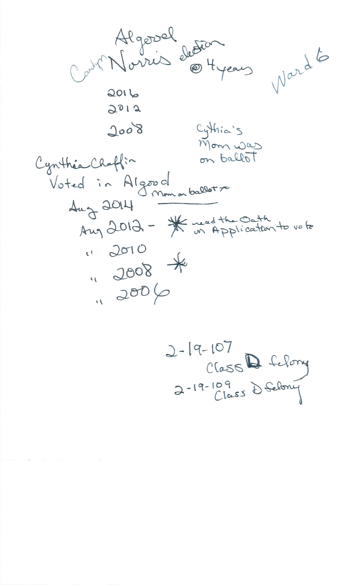 Page 14 of Voter fraud