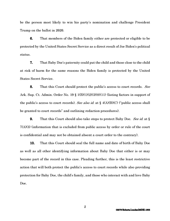 Page 2 of Hunter Biden Paternity Test Court Filing