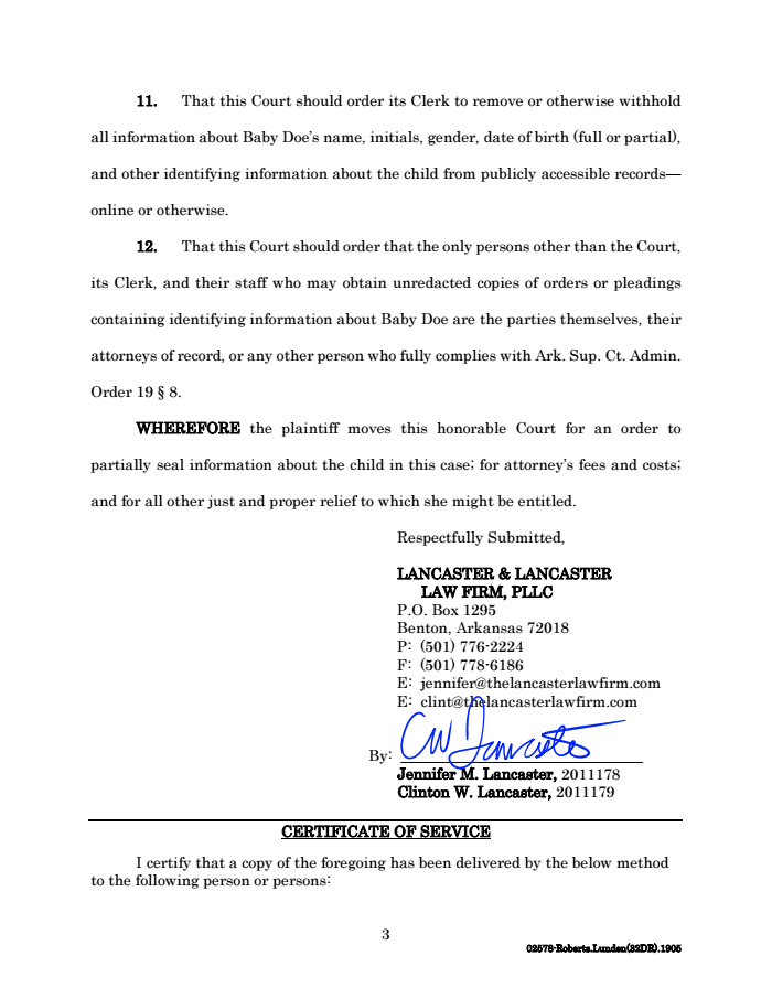 Page 3 of Hunter Biden Paternity Test Court Filing