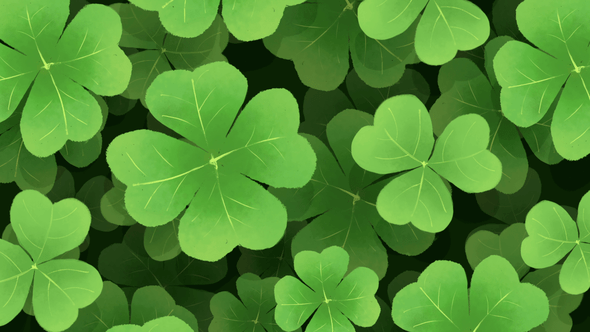 Some of the products that appear on this si. Clover Leaf Background By Montae Videohive