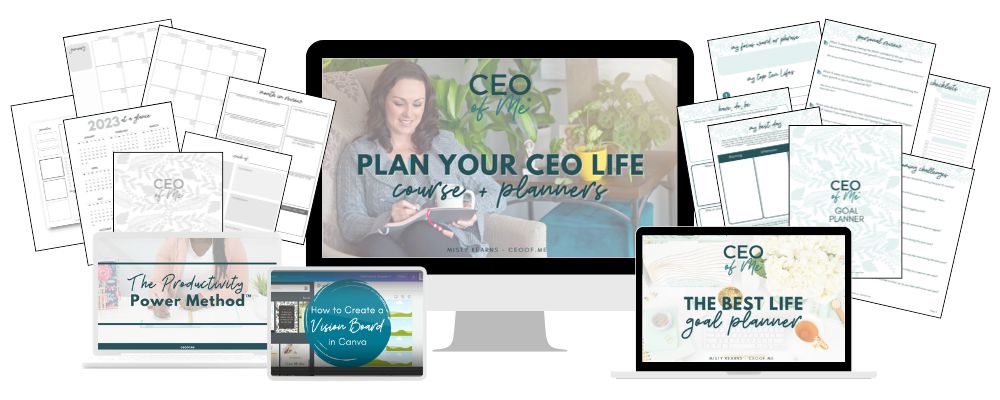 Plan Your Ceo Life