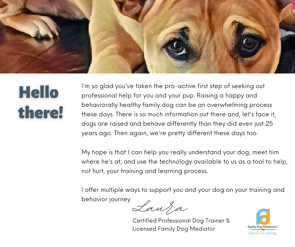 Private Training With Miss Behavior