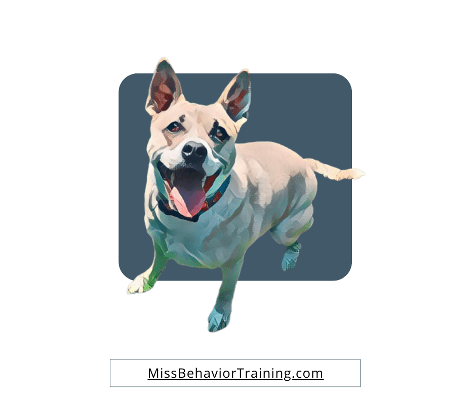 Private Training With Miss Behavior