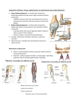 Learn about the anatomy of the heart in this guide. Comprehensive Anatomy Summary Notes Studentvip