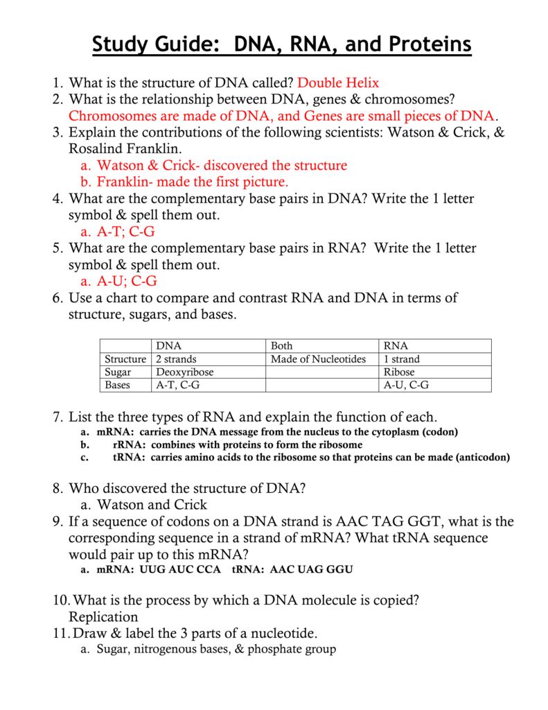 Dna Protein Synthesis Dna Technology Review Ppt Download A DNA segment is changed from AATTAGAAATAG to ATTAGAAATAG This is a. Dna Protein Synthesis Dna Technology Review Ppt Download Deletion or Frameshift Mutation What is the codon that specifies for the amino acid Methionine.