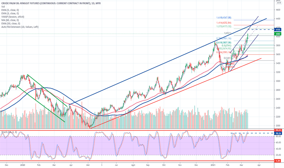 Harga Cpo Bakal Masuk Tren Bearish Bisa Rontok Nyaris 13 