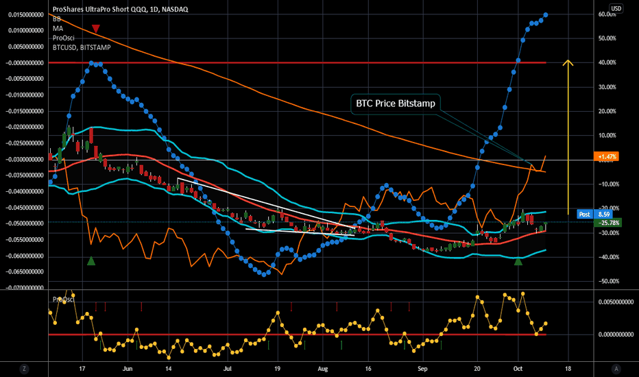Regular spikes in the bitcoin price chart make this digital cryptocurrency a potentially lucrative invest. Marketcrash Tradingview