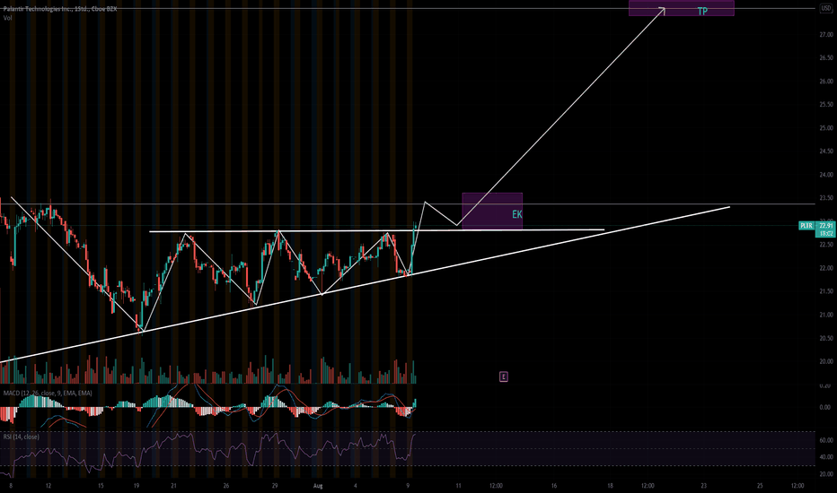 Pltr Aktienkurs Und Chart Nyse Pltr Tradingview