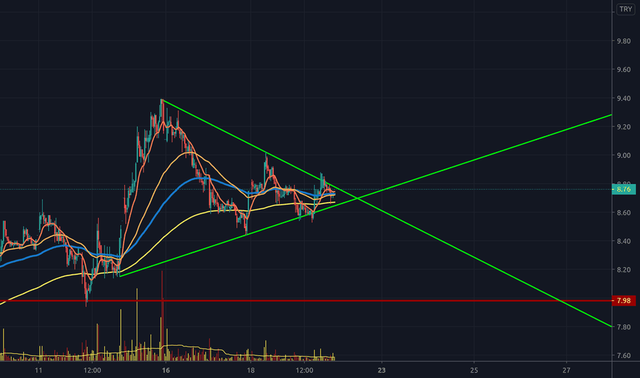 Egser Hisse Senedi Fiyati Ve Grafigi Bist Egser Tradingview