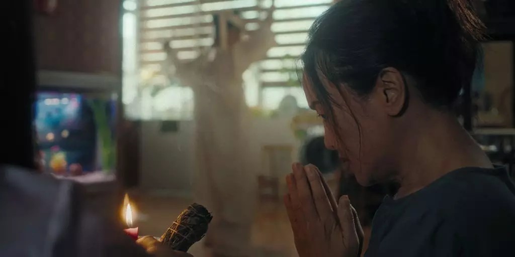 The Intriguing Tale of Don’t Cry Butterfly The Intriguing Tale of Don’t Cry Butterfly