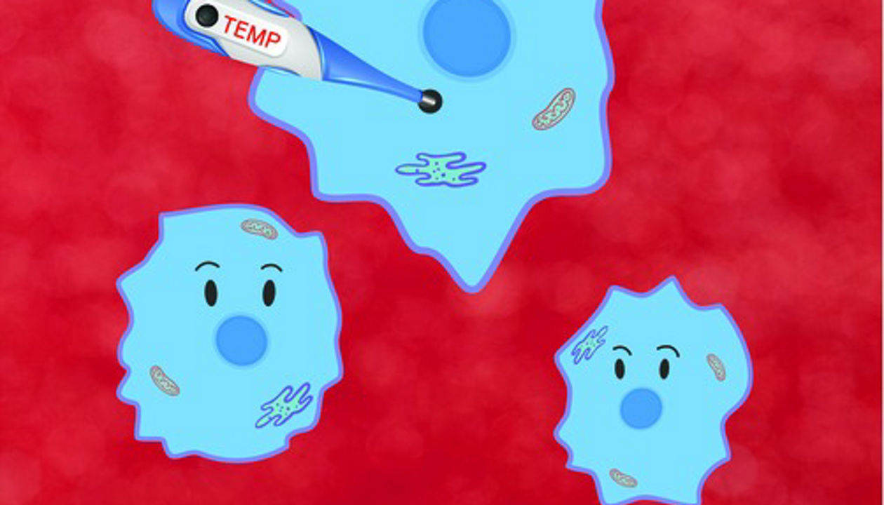 Tiny Temperature Sensors - Premium Abstract Background Gallery - Mobile