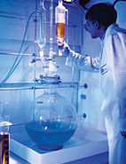 Cracking The Sustainability Leader Code Rapidknowhow - HD Landscape Wallpapers for Desktop