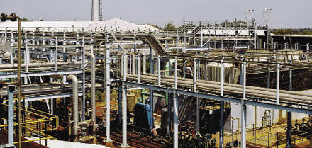 Fda Struggles Keep India - Ocean Art Collection - HD Quality