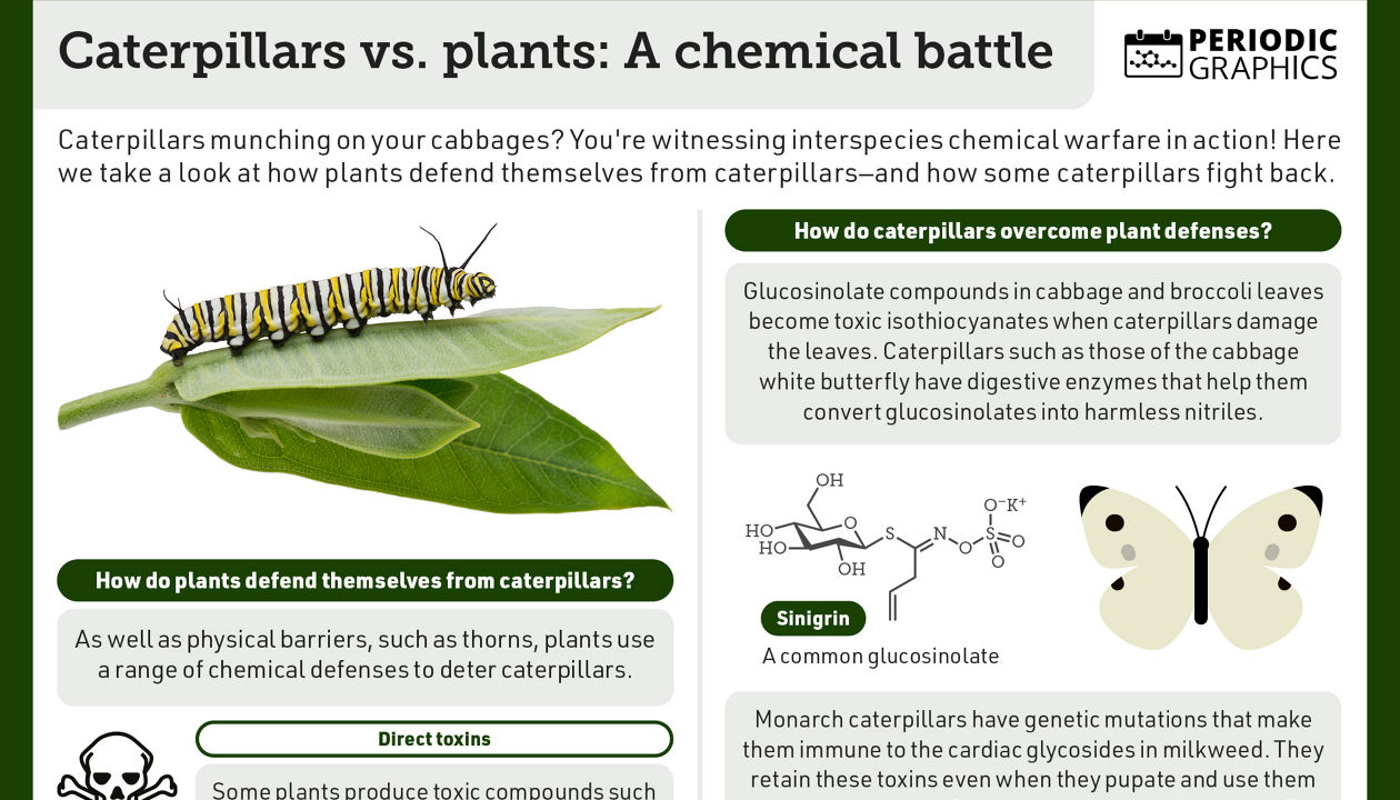 Caterpillars vs Plants: The Secret Chemical Warfare | Science Explained (2026)