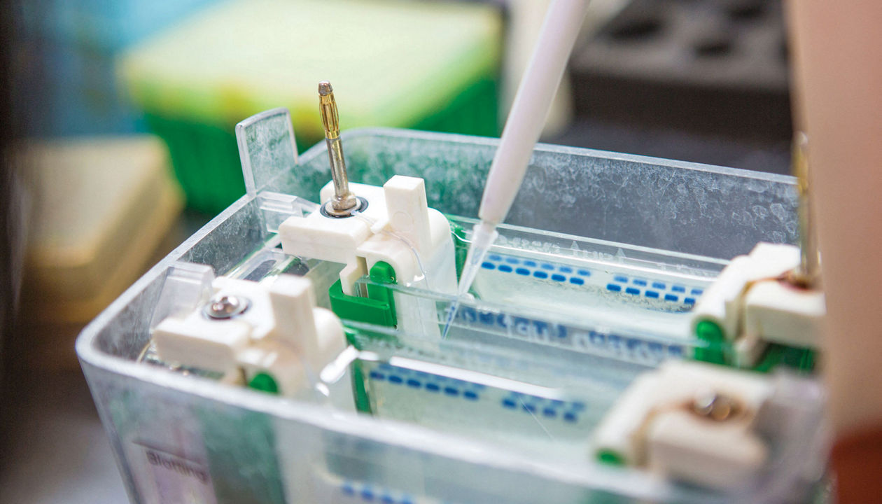 Sleuths say Thermo Fisher doctored data to sell antibodies