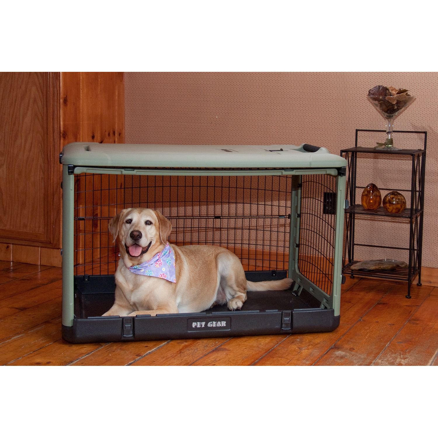 It's a piece of equipment used to show activity and functioning in the body at a cellular level using radiation. Pet Gear The Other Door Sage Steel Crate | Petco