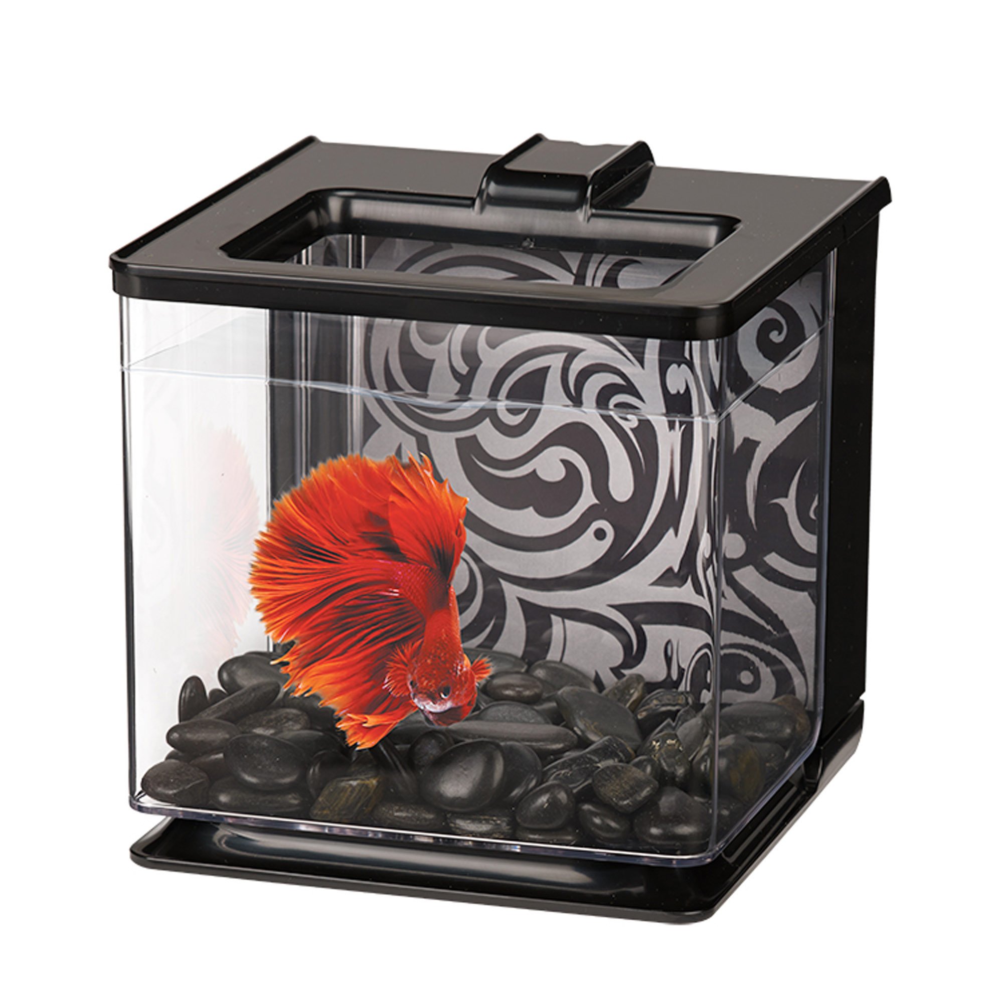 Marina betta ez care black aquarium kit