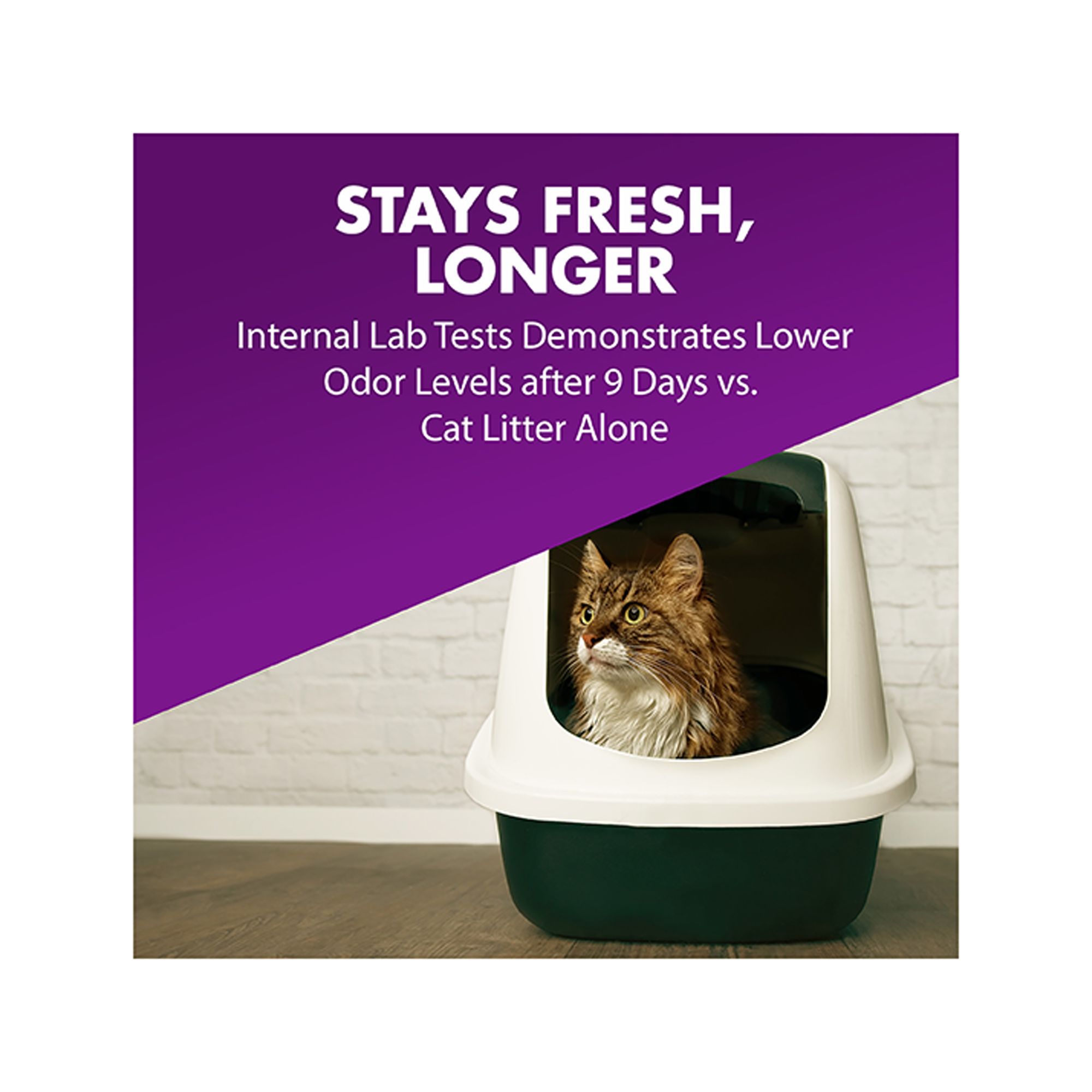 pet odor candles petsmartidardarjisamajcom on pet odor candles petsmart