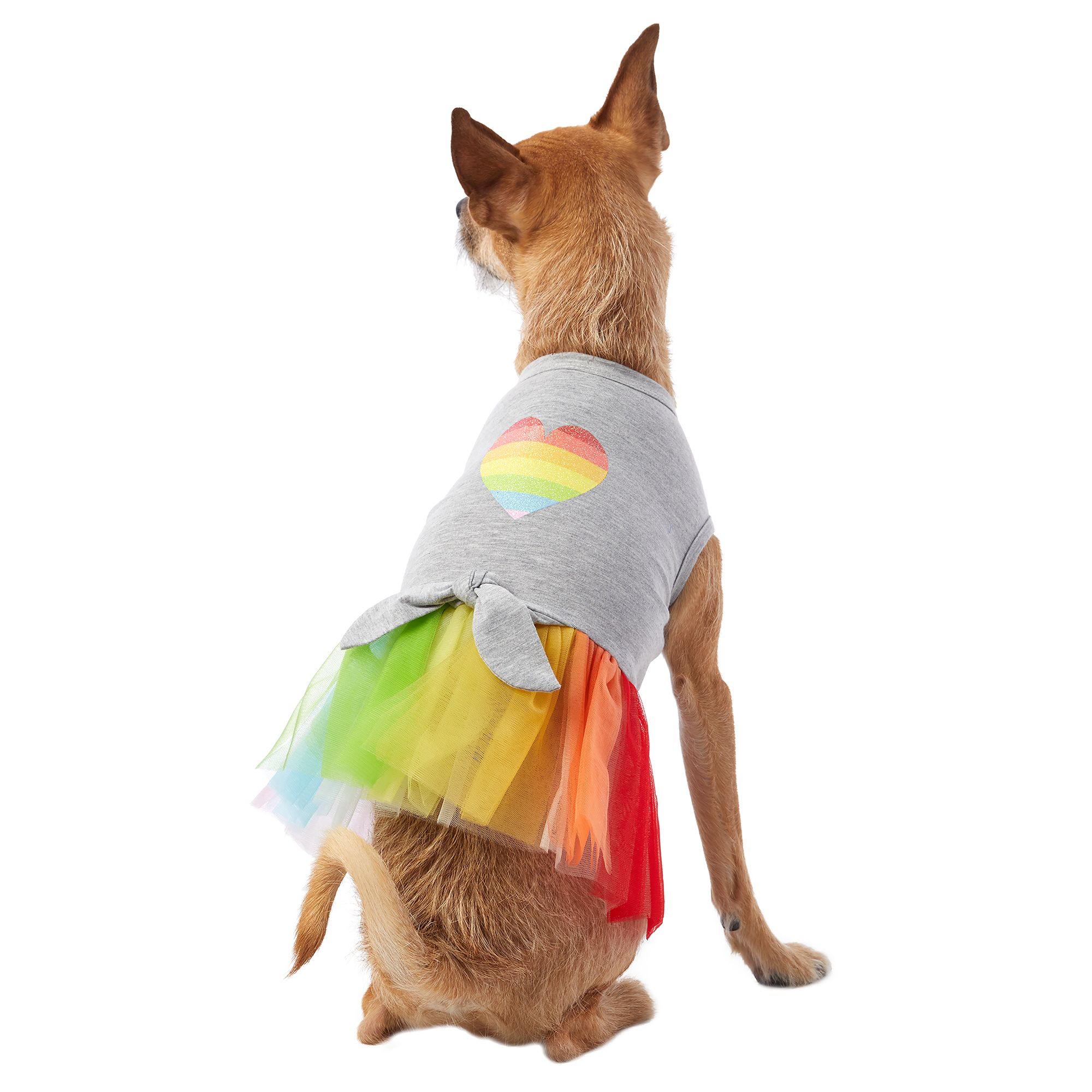You Are Loved Pride Rainbow Heart Pet Dress Dog Dresses Petsmart