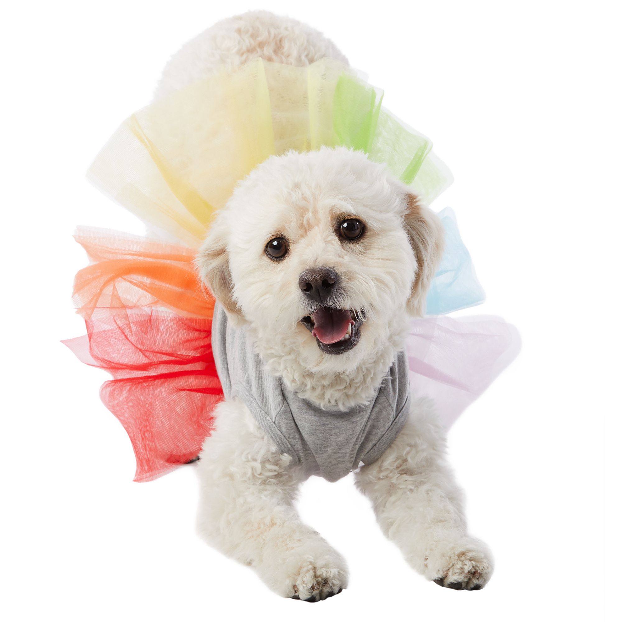 You Are Loved Pride Rainbow Heart Pet Dress Dog Dresses Petsmart