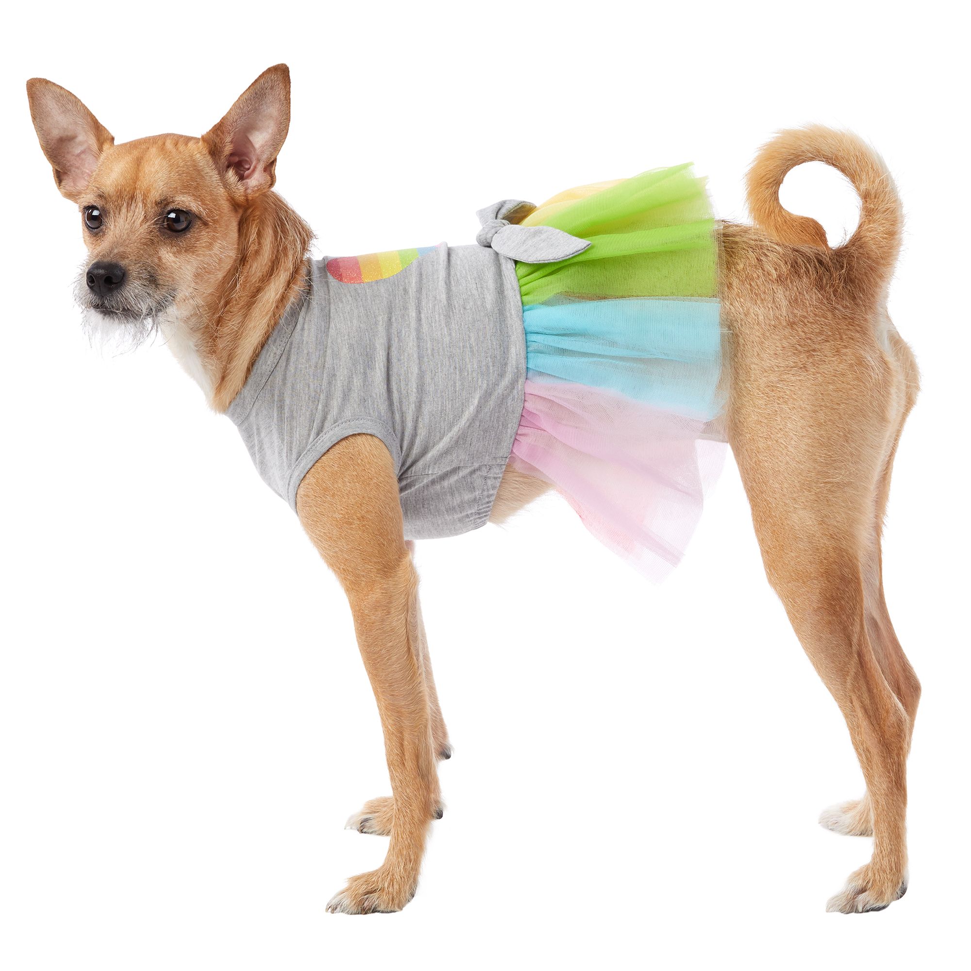 You Are Loved Pride Rainbow Heart Pet Dress Dog Dresses Petsmart