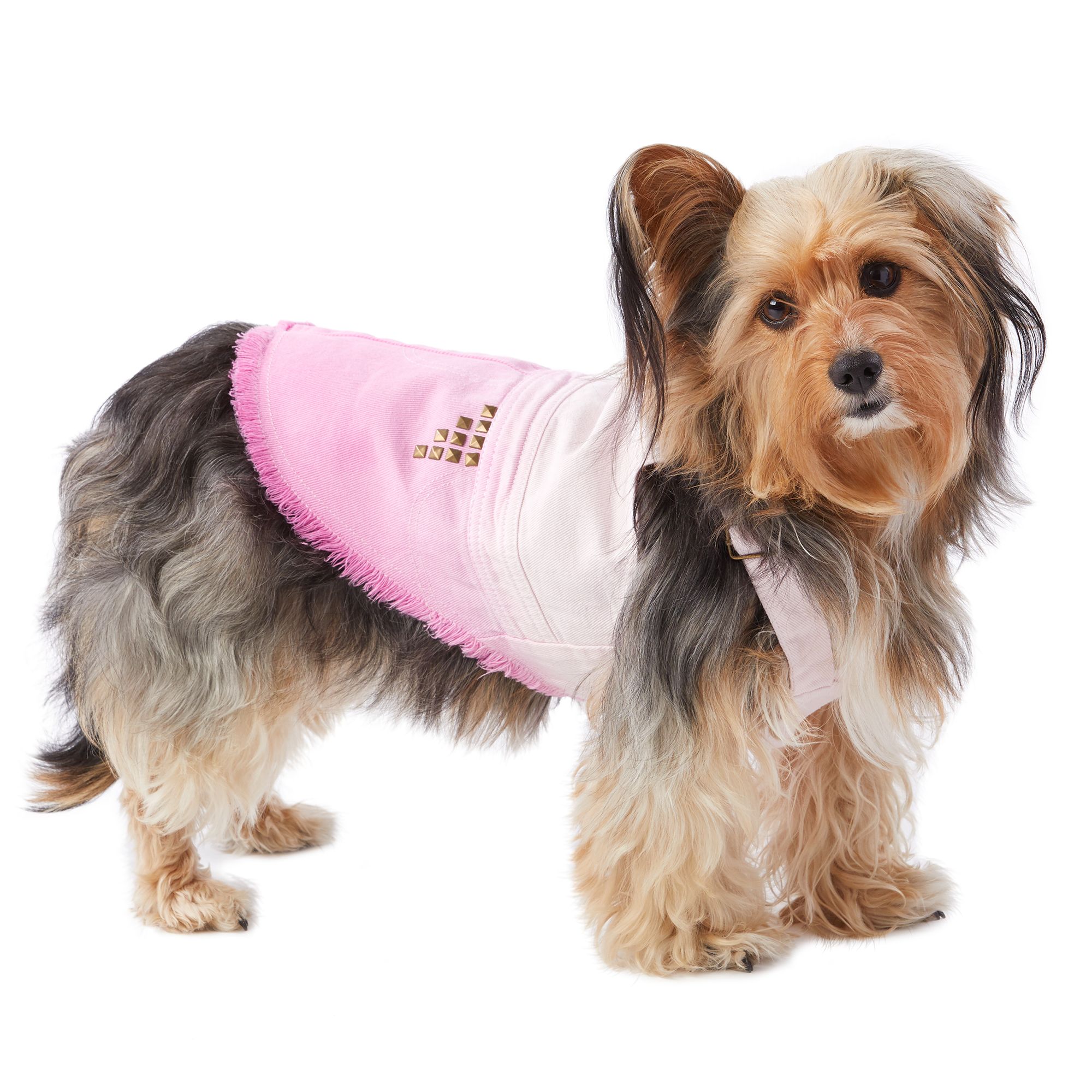 Top Paw Festival Denim Overall Pet Dress Dog Dresses Petsmart