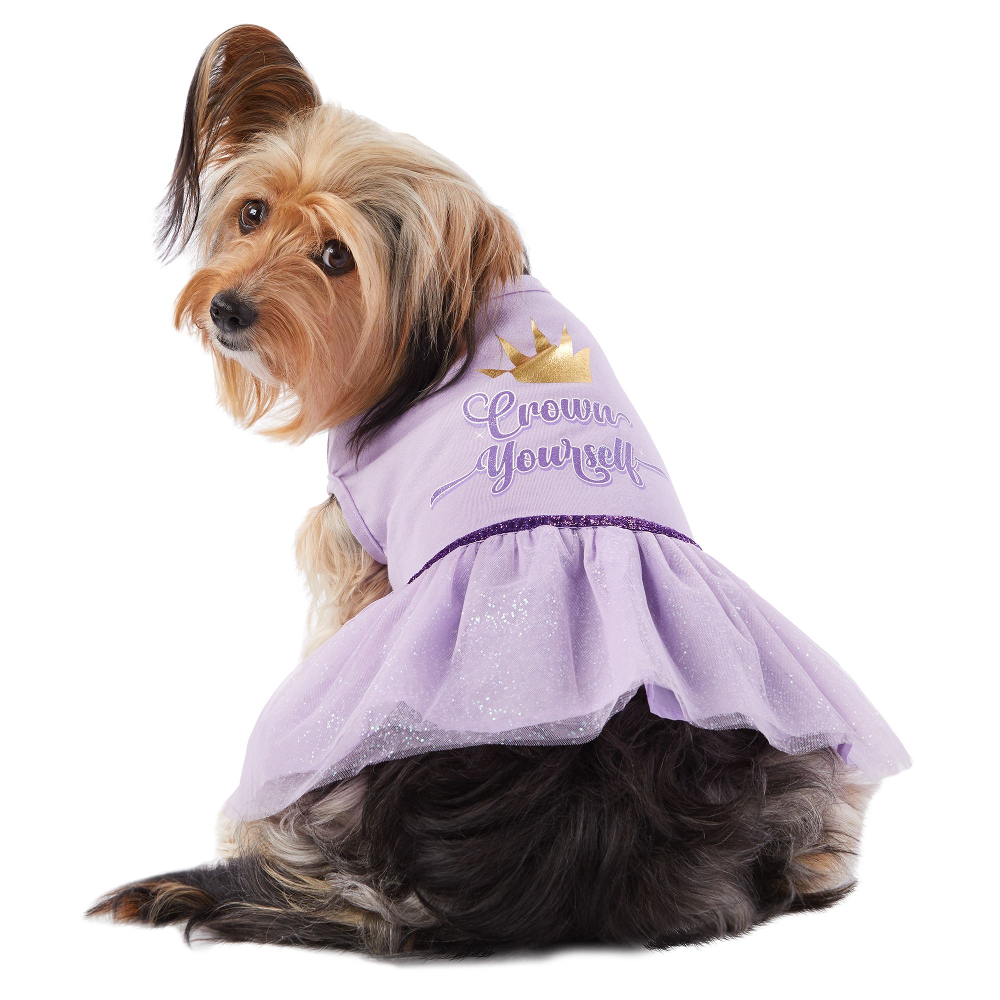 Top Paw Crown Yourself Tulle Pet Dress Dog Dresses Petsmart