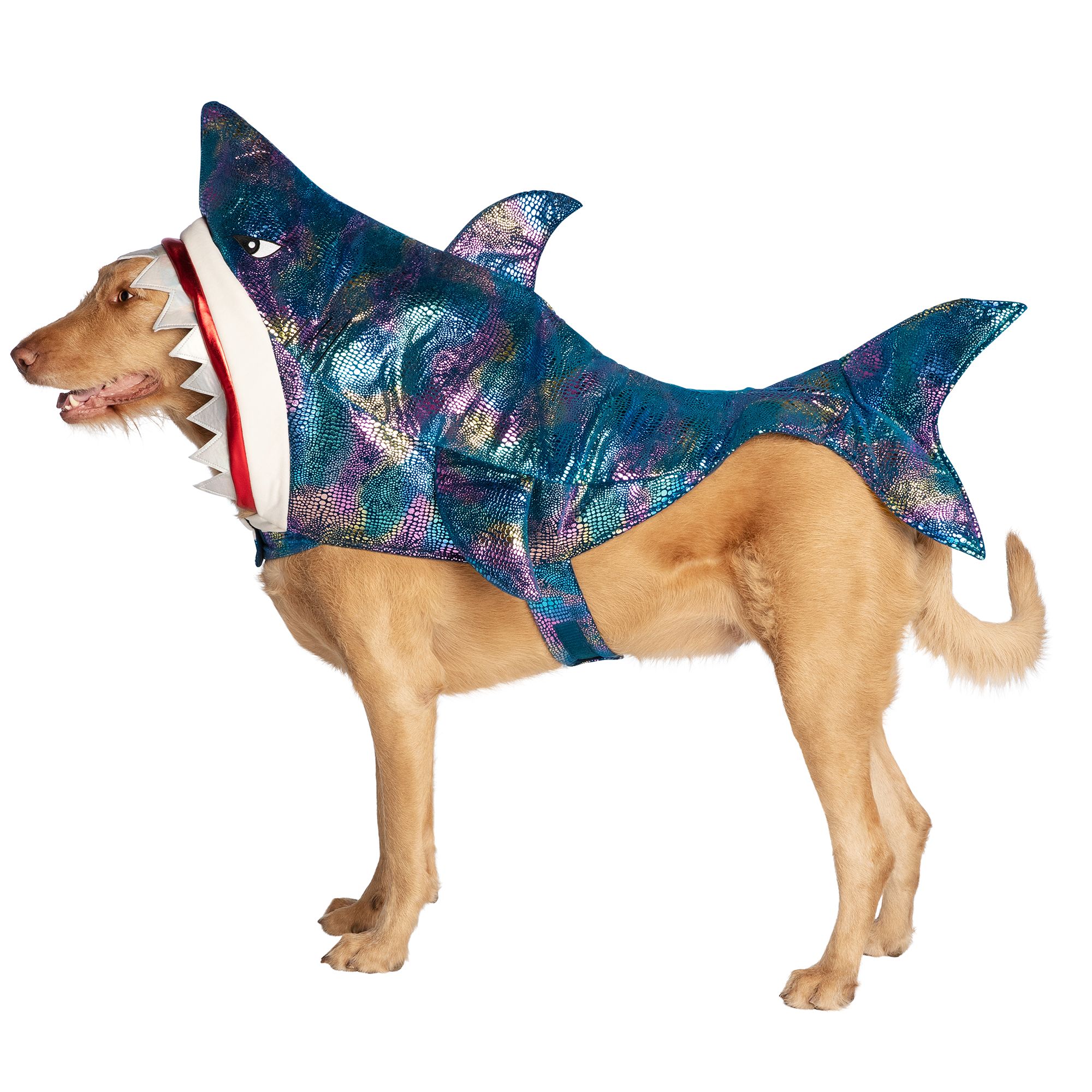 Thrills Chills Trade Pet Halloween Shark Pet Costume Dog Costumes Petsmart